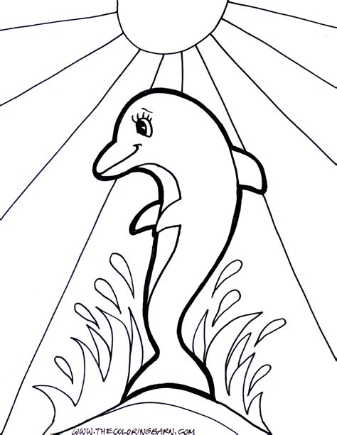 Realistic Dolphin Coloring Pages – Warehouse of Ideas