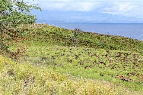 Severe drought conditions causing wildfires on Big Island and Maui : Big Island Now