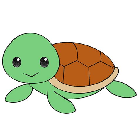 How to Draw a Turtle - Easy Drawing Tutorial For Kids