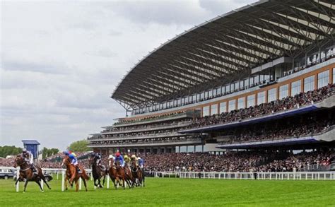 Ascot Racecards Horse Racing Tips | BettingTips4you