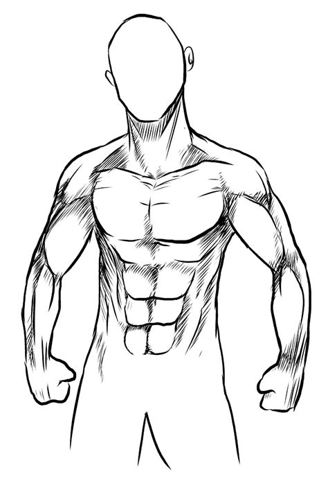 Male Body Drawing Template