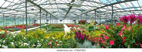 Garden Centre Stock Photos and Pictures - 309,134 Images | Shutterstock