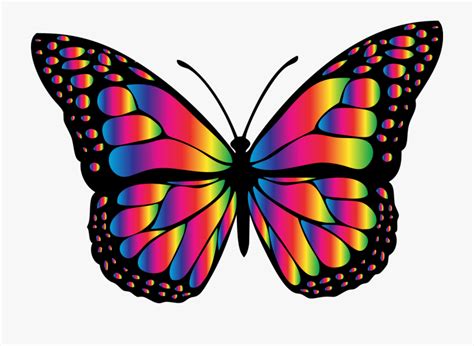 Rainbow Butterfly Png