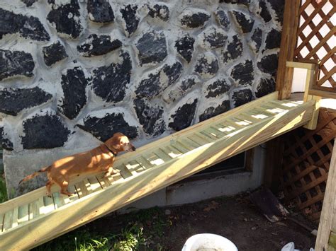 Daisy loves her dog ramp to the deck!!! So do I :) | Dog ramp for stairs, Diy dog ramp, Outdoor ...