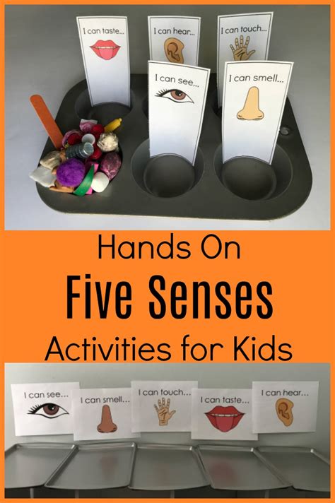 Exploring all 5 Senses in Preschool: Sorting Activities and Books • The Preschool Toolbox Blog