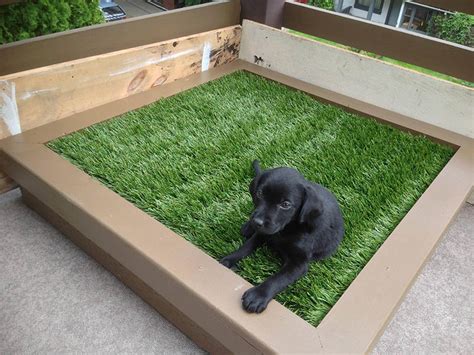 15 DIY Dog Porch Potty & Grass Box Projects - PlayBarkRun