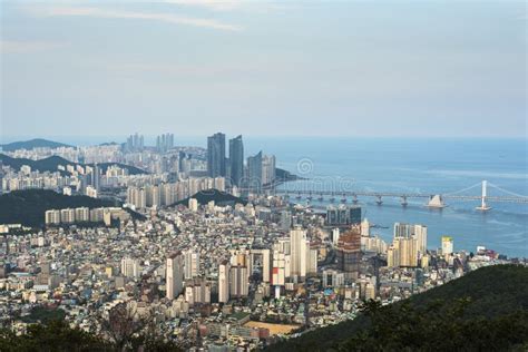 Busan Skyline from Viewpoint Editorial Image - Image of asian, busan: 173438730