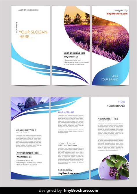 Google Slide Brochure Template