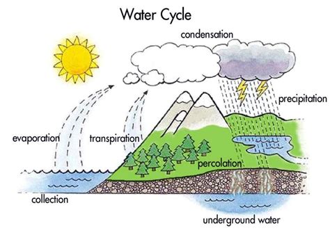 Water Cycle Drawing at GetDrawings | Free download