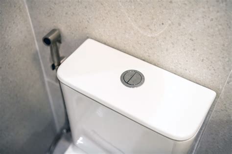 Advantages & Disadvantages of Dual Flush Toilets | Snell