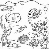 Coral Reef Coloring Page  Pagescom sketch template