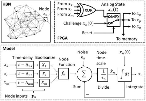 A Hybrid Boolean Network (HBN), depicted as an N = 32 random regular... | Download Scientific ...