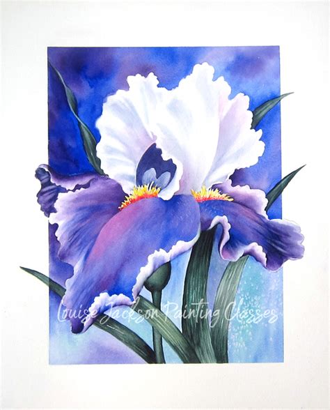 Purple Iris - Louise Jackson Painting Classes