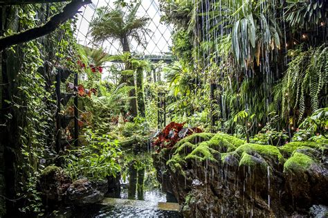 Cloud Forest at Gardens by the Bay - One of Singapore’s Coolest Attractions – Go Guides