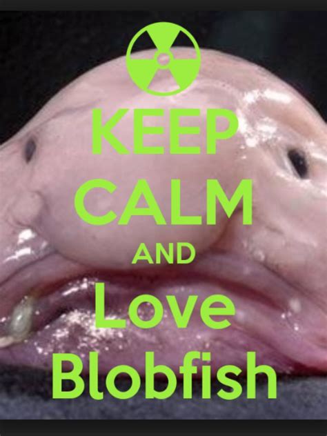 blobfish!!!!!! Ugly Animals, Cute Animals, Ugliest Animals, Keep Calm ...