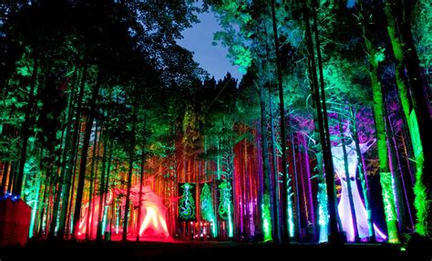 10 Best US Music Festivals of 2013: #10 Electric Forest - Travel Hymns