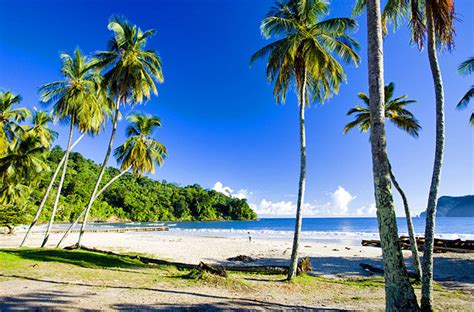 Tourist Attractions in Trinidad and Tobago | Most beautiful places in ...