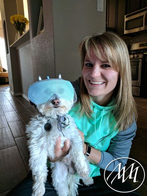 DIY Snuffles/Snowball Helmet Pet Costume (Rick and Morty) | Michaeli Marler | Rick and morty ...