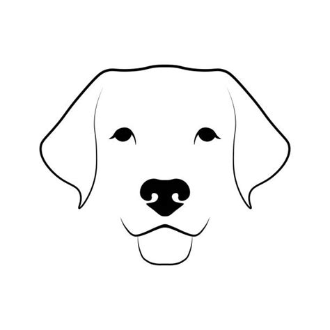 Labrador Retriever Outline