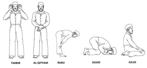 The most important physical positions in the prayer in Islam. | Prayers ...