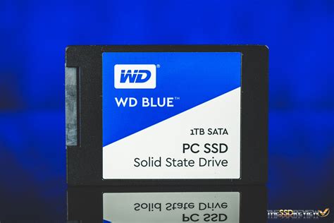 WD Blue SSD Review (1TB) - WD Steps Into The Ring | The SSD Review