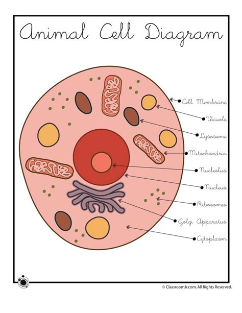 249 best images about Science Activities & Printables For Kids on ...