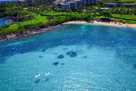 7 Reasons to Stay at Montage Kapalua Bay Resort - Luxe Travel Family