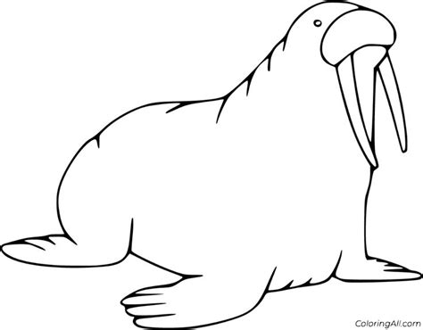 57 free printable Walrus coloring pages in vector format, easy to print from any device and ...