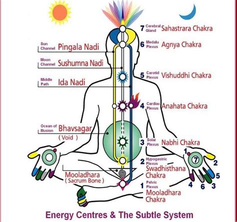 Hindu Temple and the Structure of Human Body: Comparison - Surya World