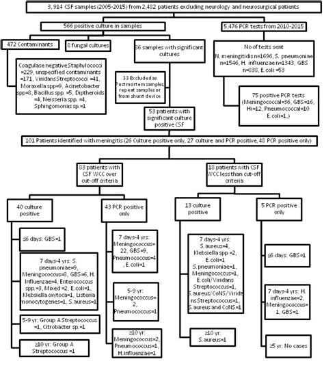 Low Yield of Positive Cerebrospinal Fluid (CSF) Culture and Bacterial PCR Tests In Paediatric ...