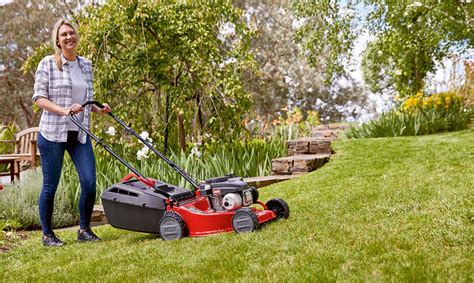 Self-Propelled Lawn Mower vs. Push Mower - Haute Life Hub