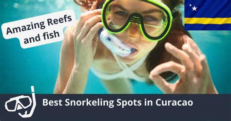 Snorkeling Curacao: The 10 Best Snorkeling Beaches & Spots