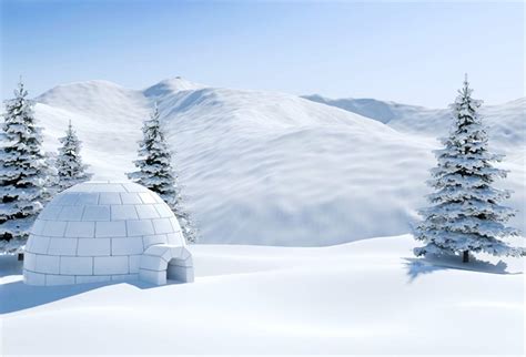 🔥 [10+] Igloo Backgrounds | WallpaperSafari