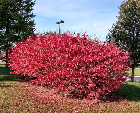 Pennsylvania & Beyond Travel Blog: Beautiful Fall Foliage in South Central Pennsylvania