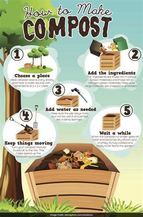 5 Simple Steps To Turn Household Waste Into Compost, Photo Gallery