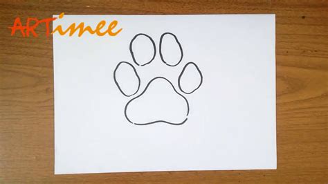 How To Draw A Paw Print Cat? Update - Bmxracingthailand.com