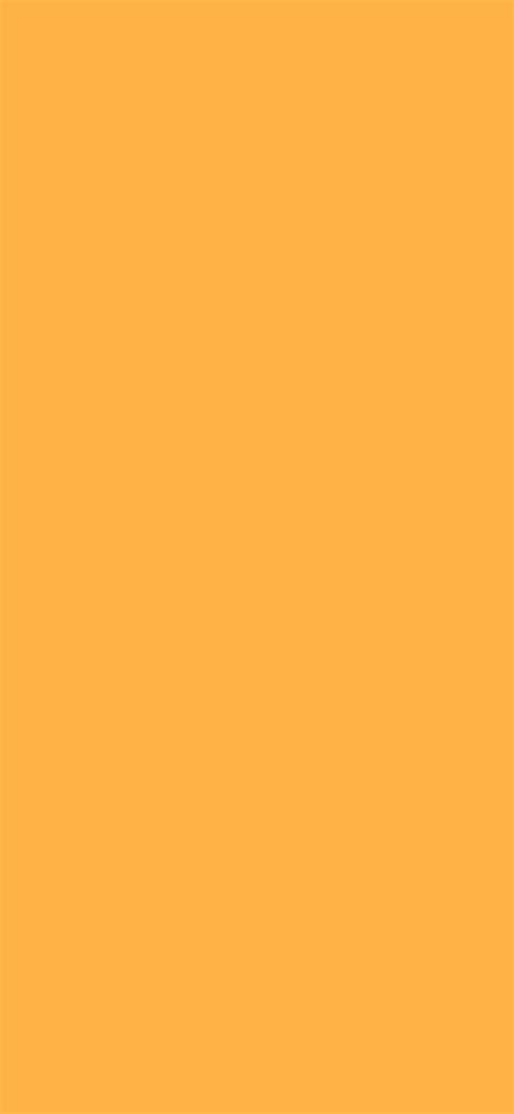 Orange Pastel Aesthetic Background : Background aesthetic pastel orange ...