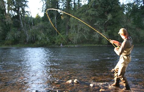 Ini Tips dan Trik Memancing Ikan di Sungai, Ayo Berangkat Mancing!