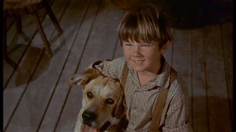 Disney's "Old Yeller" Actor Kevin Corcoran Passes Away at 66