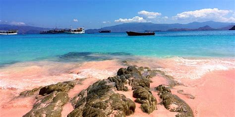 Best Pink Sand Beaches - 10 Most Breathtaking Pink Sand Beaches In the ...