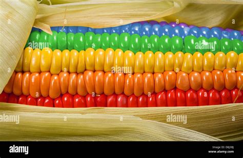 Rainbow Corn, Bangles, Bracelets, Lei Necklace, Coffee, Jewelry, Kaffee, Jewlery, Jewerly