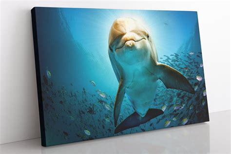 Dolphin Canvas Wall Art, Large Framed Dolphin Print Home Decor Wall Art ...