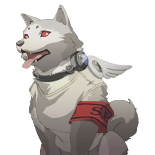 Social Link/Koromaru | Megami Tensei Wiki | Fandom