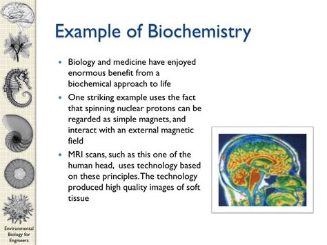 PPT - CEE 210 Environmental Biology for Engineers PowerPoint Presentation - ID:1620289