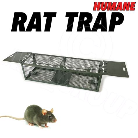 RAT TRAP Metal Rat Catcher - Humane Non Killing - Reusable Pest Control Trap | eBay