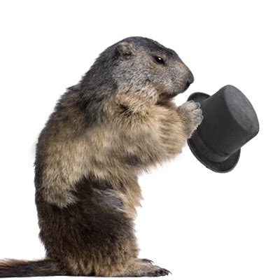 Groundhog PNG HD Transparent Groundhog HD.PNG Images. | PlusPNG