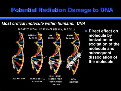 PPT - Biological Effects of Ionizing Radiation PowerPoint Presentation - ID:321526