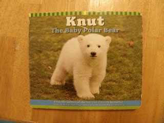 Perfectly Normal Chaos: Knut the Baby Polar Bear