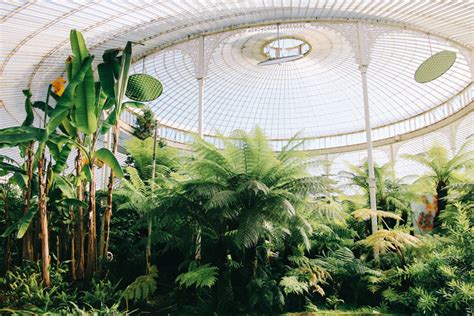 Glasgow Botanic Gardens - The Boho Guide