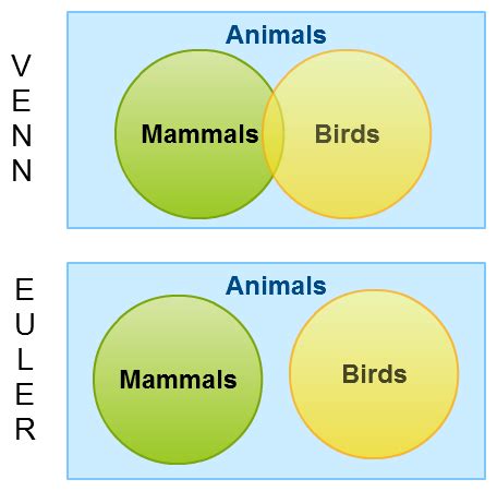 Venn Diagrams vs Euler Diagrams Explained with Examples